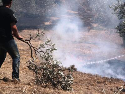 Φωτιά στους πρόποδες της Πάρνηθας