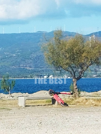 ΦΩΤΟ: Χάρης Καραβαγγέλης