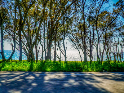 Καιρός σήμερα: Ηλιόλουστη μέρα με τη θερ...