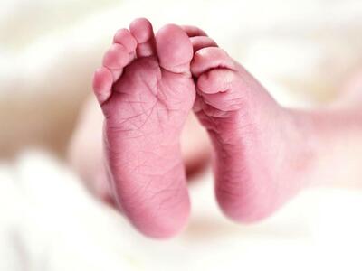 Στη φυλακή 4 από τους 9 για το κύκλωμα ε...