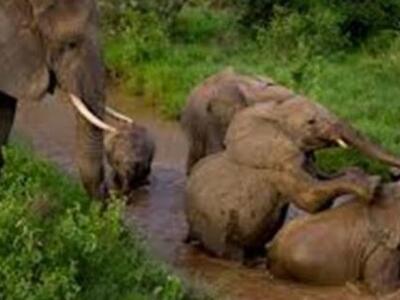 Συμφωνία ΕΕ - Κίνας για το παράνομο εμπό...