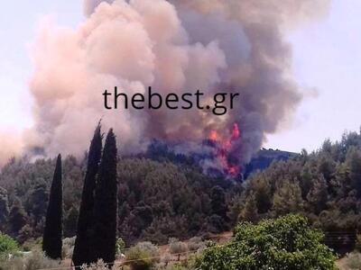 Ελέγχεται η δασική πυρκαγιά στο Κάλφα Αχ...