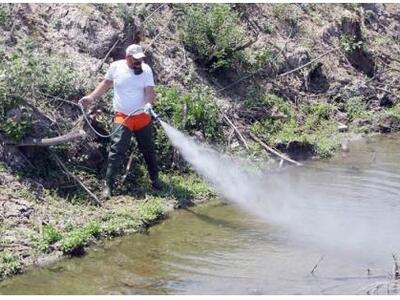 Εμφανίστηκαν κουνούπια από νωρίς - Ξεκιν...