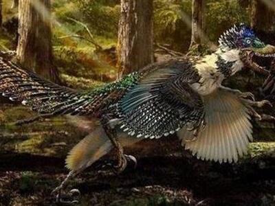 «Φτερωτός δεινόσαυρος από την κόλαση»- ΔΕΙΤΕ ΦΩΤΟ