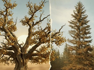 Την Τρίτη 18/11 η Ημερίδα «Ξηράνσεις στη...