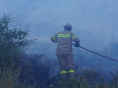 Κεφαλονιά: Υπό μερικό έλεγχο η φωτιά στη...