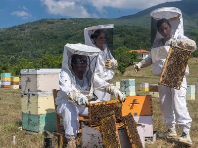 Αχαΐα: Η νομαδική ζωή των μελισσοκόμων- ...