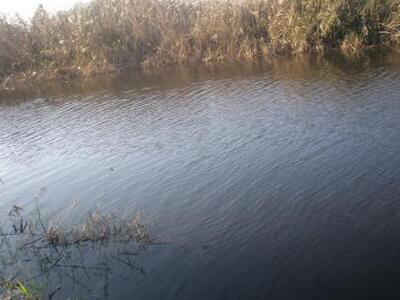 Δυτική Αχαΐα: Μαύρισε ο Πείρος ποταμός α...