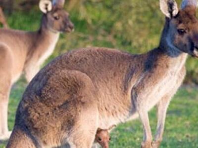 Απίστευτο: Στην Ελλάδα υπάρχει πρόβλεψη ...