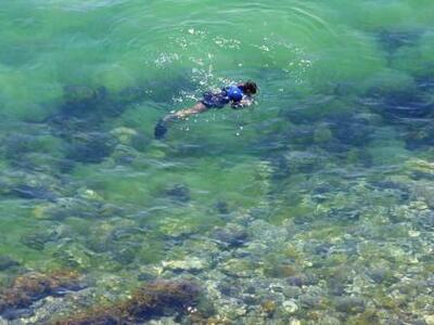 Βρέθηκε νεκρός ο αγνοούμενος ψαροντουφεκάς