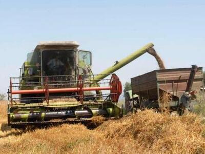 Η βρώμη θέλει Δυτική Ελλάδα!