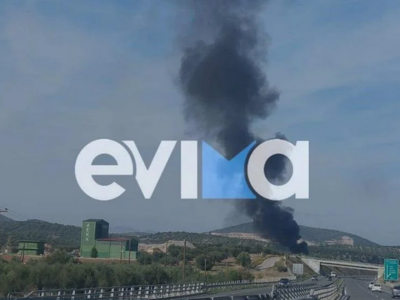 Εύβοια: Φωτιά σε εργοστάσιο στην Αυλίδα ...