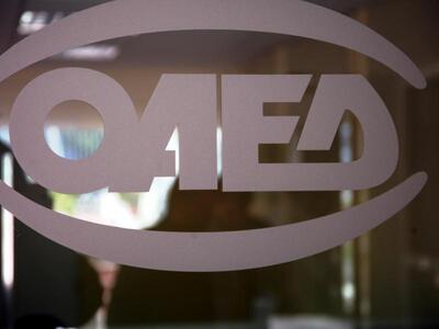 Προσλήψεις ωρομισθίων καθηγητών στα ΙΕΚ του ΟΑΕΔ