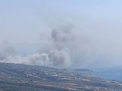 Λακωνία: Χωρίς ενεργό μέτωπο η πυρκαγιά