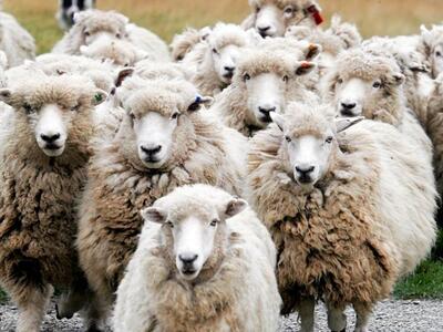 Στη Δικαιοσύνη η υπόθεση Λεπενούς Αιτωλο...