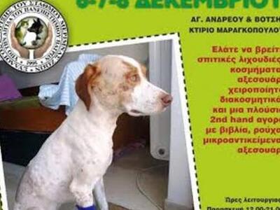 Πάτρα: Ξεκινά σήμερα το Χριστουγεννιάτικ...