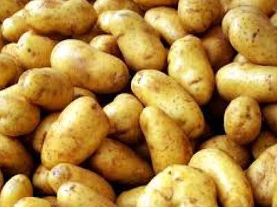 Γιατί δεν πρέπει να βάζετε ποτέ, τις πατ...