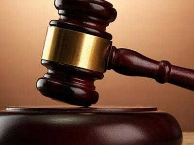 Αυστρία:Καταδίκη σε 18μηνη φυλάκιση για ...