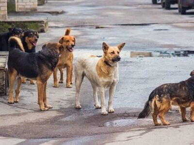 Πανεπιστήμιο Πατρών: Εισαγγελική παρέμβα...