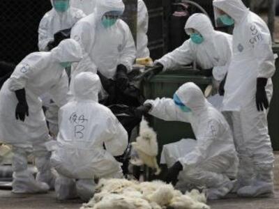 Συναγερμός για την ...επιστροφή της γρίπ...