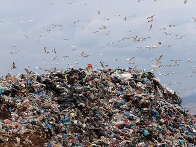 Ανακύκλωση: 84 εκατ. τόνους συσκευασιών ...
