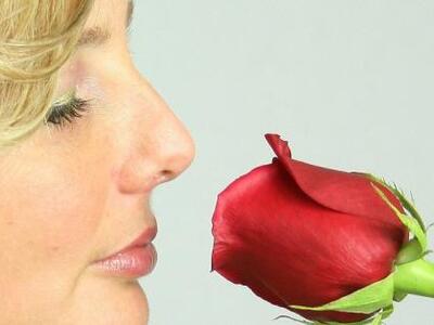 H μύτη μας «ξέρει» από κβαντοφυσική υποσ...