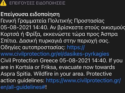 ΦΩΤΙΑ ΗΛΕΙΑ: Οι φλόγες μέσα στο χωριό Πεύκες ΦΩΤΙΑ ΗΛΕΙΑ: Οι φλόγες μέσα στο χωριό Πεύκες