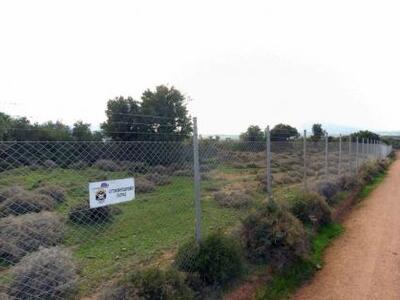 Πάτρα: Κρίσιμη συνεδρίαση για το μέλλον ...