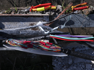 Εισαγγελική έρευνα για την υπόθεση κοπής...