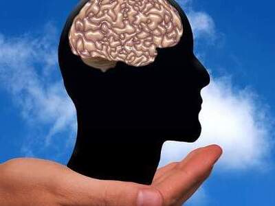 Πάτρα: Σχολική Ημερίδα για τον εγκέφαλο ...