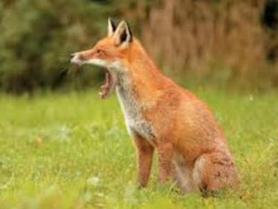 Περιφέρεια Δυτικής Ελλάδας: Ενημερωτική ...