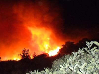 Κάηκαν πάνω από 300.000 στρέμματα - Μια ...