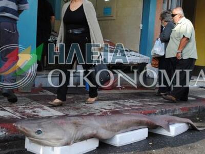 Προσοχή δαγκώνει! Ένας εκλεκτός ψαρομεζέ...