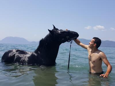 Πάτρα: Ένα άλογο κολυμπά στο Ρίο - Πανέμ...