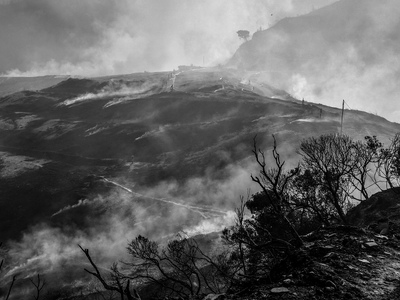 ΤΕΕ Δυτικής Ελλάδας: Αναλαμβάνει πρωτοβο...