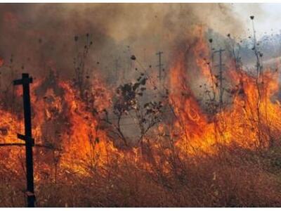 Σε ύφεση η φωτιά στο Ζευγολατιό, στάχτη ...