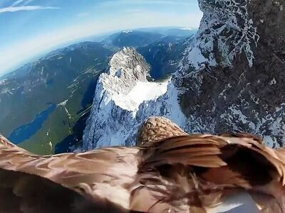 Κάμερα σε αετό καταγράφει το λιώσιμο των πάγων