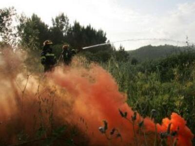 Πάτρα: Φωτιά ξέπασε στα Βραχνέικα