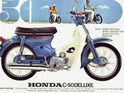 Το παπάκι της εποχής