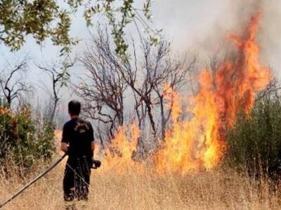 Αχαϊα: Έσβησε απο τη ... βροχή η πυρκαγι...