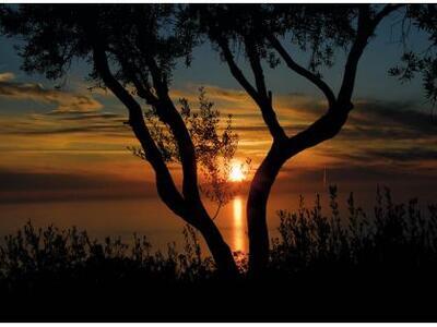 Πάτρα: Φωτογραφίζοντας στιγμές , συναισθ...