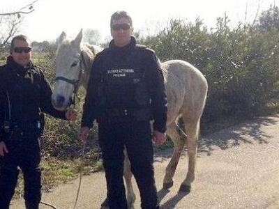 Αμαλιάδα: Η αστυνομία προσπαθούσε να συλ...