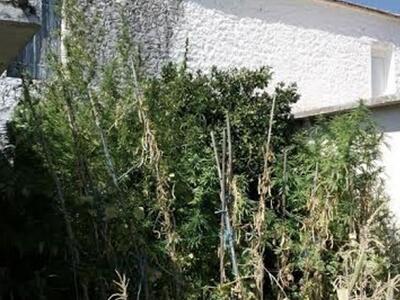 Δυτική Ελλάδα:Αντί για τριαντάφυλλα στον...