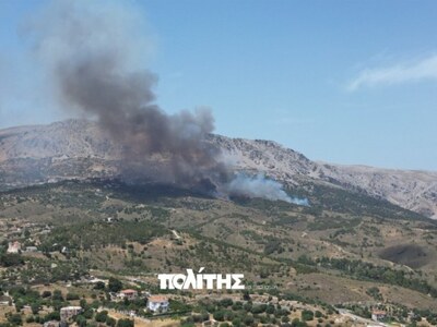 Φωτιά στη Χίο - Εστάλη 112, σηκώθηκαν κα...