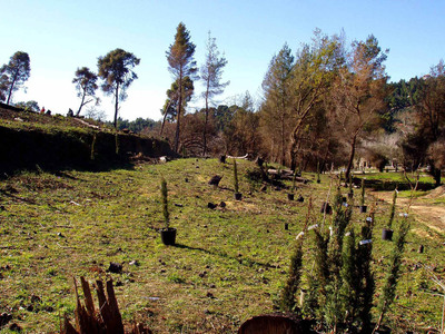 Στον "πάτο" η Ελλάδα στην προσ...