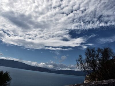 Σάκης Αρναούτογλου: Η εκτίμηση για τον κ...