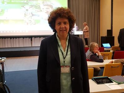 Αθηνά Τραχήλη: "Οι Πανελλήνιες δεν ...