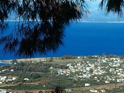 Αχαϊα: Κάλεσμα για ενίσχυση της Ομάδας Π...