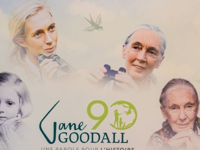 Ο Λεονάρντο Ντι Κάπριο αποχαιρετά την «η...