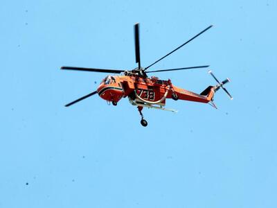 Κάηκαν 15 στρέμματα πευκοδάσους στο Πευκ...